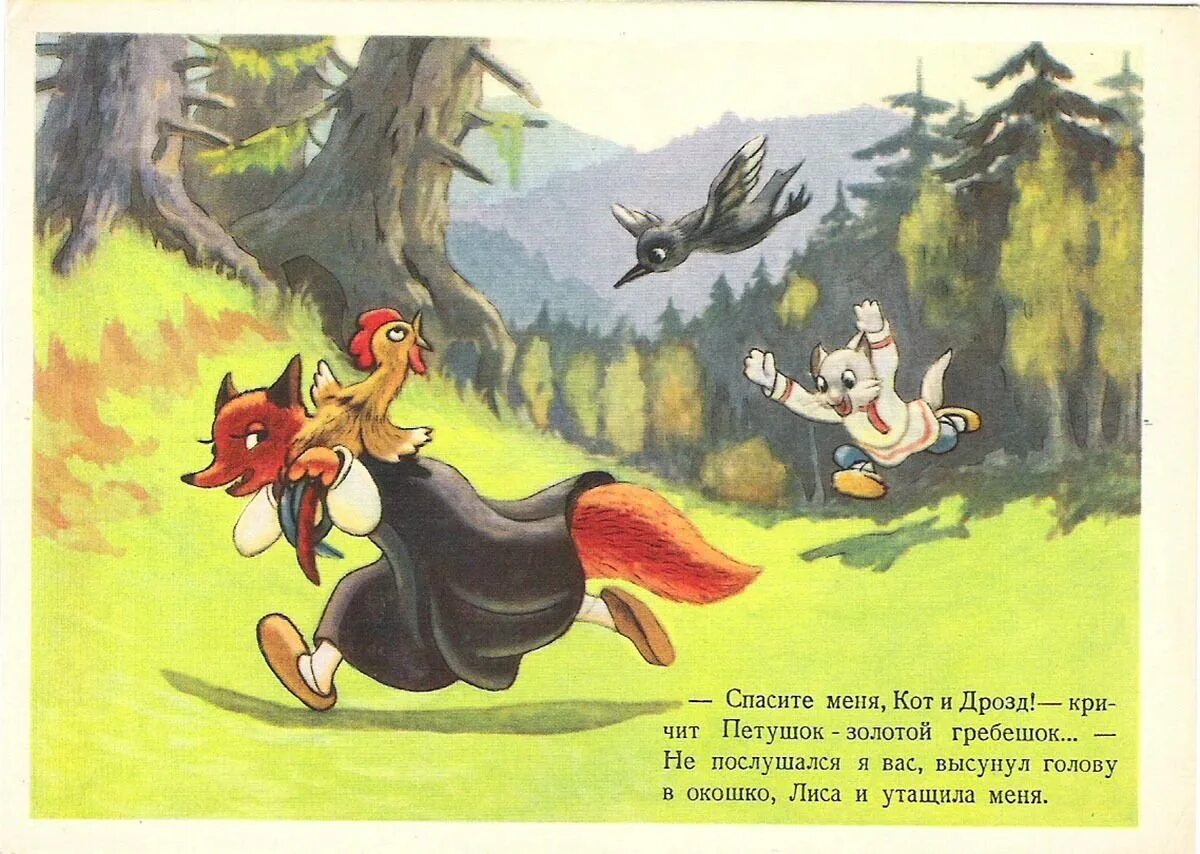 Кот дрозд и петух аудиосказка. Петушок золотой гребешок кот и дрозд. сказка кот дрозд и петух. сказка кот дрозд петух и лиса. кот, дрозд, петух и лиса.
