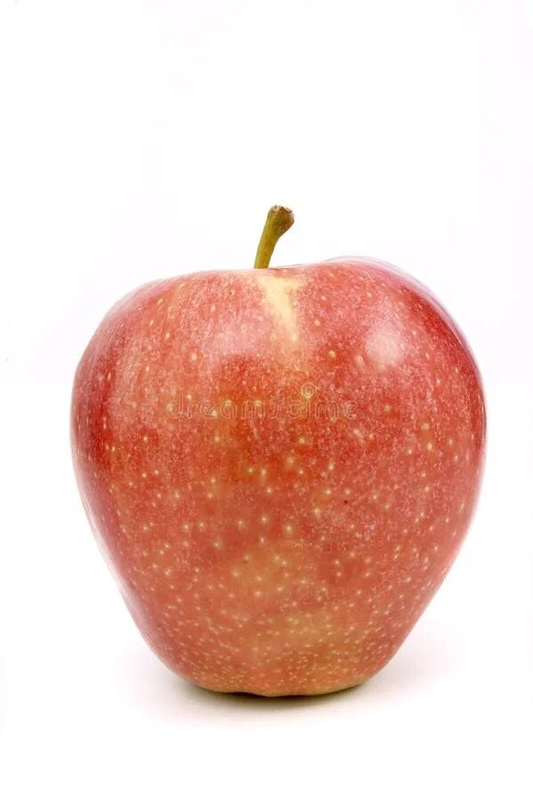 Яблоко 10 минут. 10 Яблок. Oldfield Apple fresco.