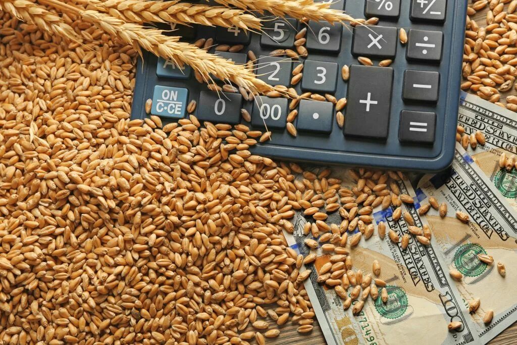 Импорт зерна. Экспорт зерна. экспорт сельскохозяйственной продукции. экспорт сельхозпродукции. рынок зерна.