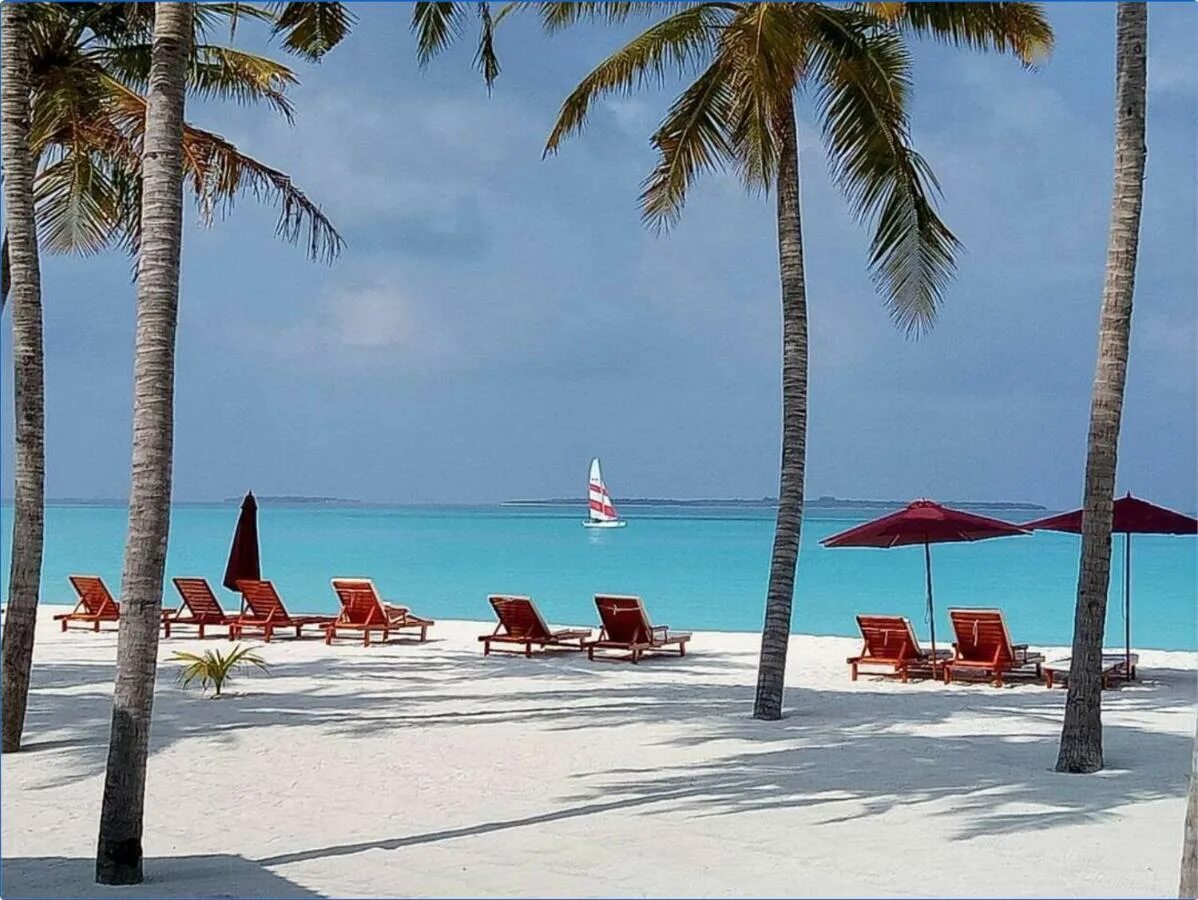 Хондафуши Айленд Резорт. Hondaafushi Island Resort Мальдивы. Отель Hondaafushi Island Resort Атолл Хаа-Дхаалу, Hondaafushi Island, near Hanimaadhoo. Мальдивский архипелаг / Maldivian Archipelago Hondaafushi Island Resort 4. Hondaafushi island 4