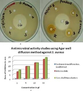 agar well diffusion assay - www.dlcafrica.com.