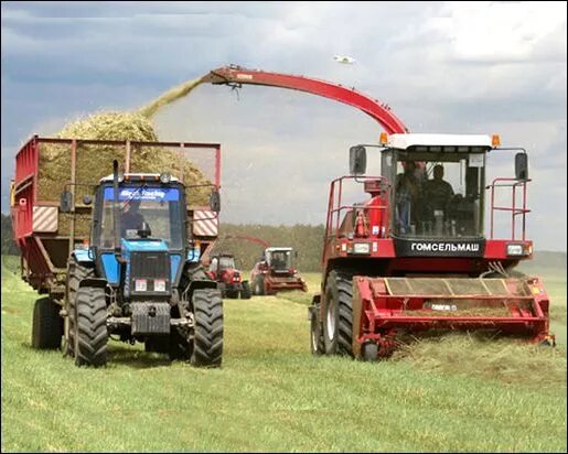 Фото тракторов и комбайнов и экскаваторов Making new fields, bought FIRST tractor! ★ Farming Simulator 2019 Timelapse ★ No