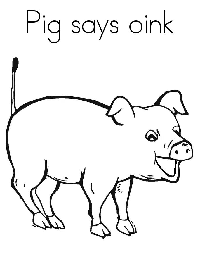 Pig coloring. Pig раскраска для детей. раскраски животные свинья. свинья кабан поросенок раскраска. раскраска свинья хряк поросенок.