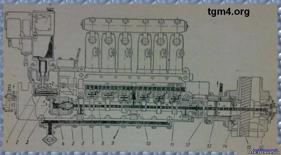 Блок топливных насосов дизеля д50. Масляная система дизеля д50 тэм2. Дизель пд4д система смазки. Дизель пд1м тепловоза тэм2. Дизель д 50