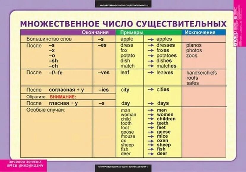 Формы существительных в английском языке. Существительные во множественном числе в английском языке. Множественное число существительных в английском языке таблица. Множественное число существительных в английском языке правило. Существительное во множественном числе в английском языке.