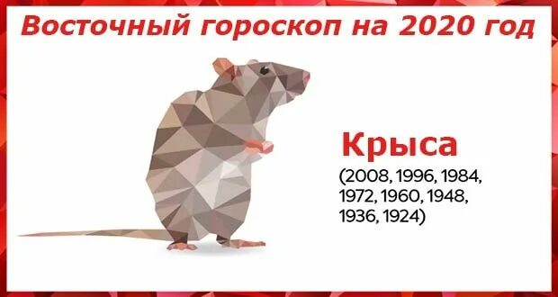 Знак зодиака 2020 года по гороскопу. Восточный гороскоп 2020. Год крысы гороскоп. Гороскоп на 2020 год. Год 2020 по восточному.