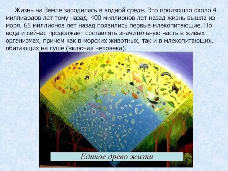 Жизнь на земле зародилась около. Как зарождалась жизнь на земле. Жизнь на земле возникл. Жизнь на земле появилась.