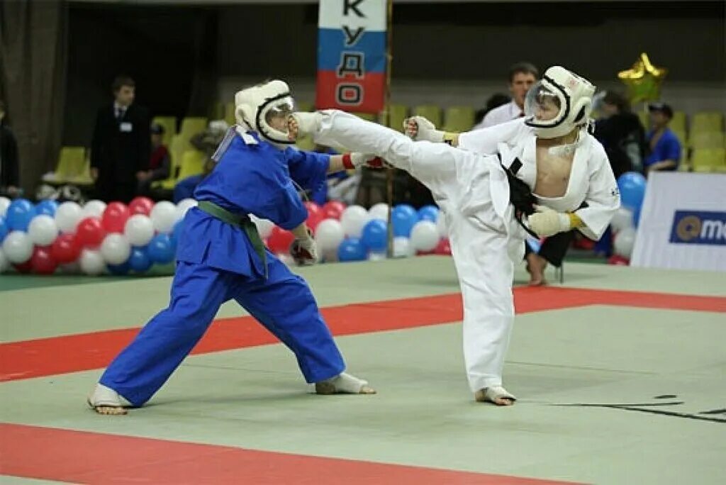 Панов юрий кудо кудо. Кудо единоборство. Кудо карате. Кудо карате. Кудо карате.