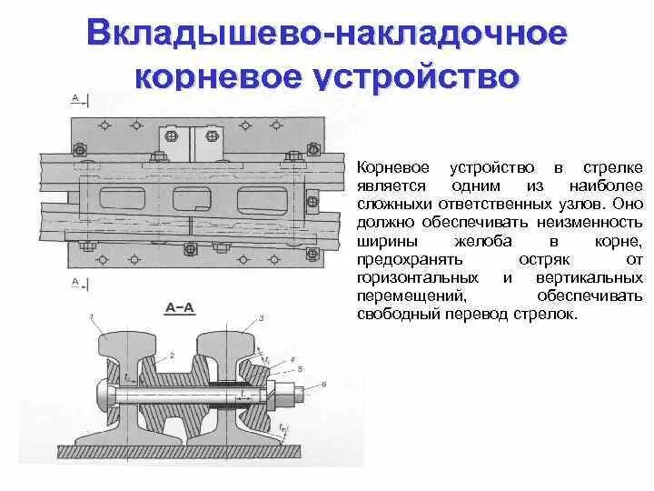 Корневое устройство