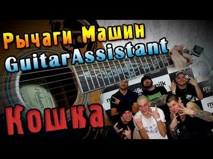 Рычаги машин кошка