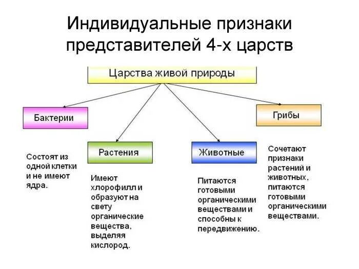 Признаки Царств живой природы. Признаки каждого царства живой природы биология 5 класс. Признаки Царств растений животных грибов бактерий. Отличительные особенности Царств живой природы. Какие 2 типа различают в живой природе