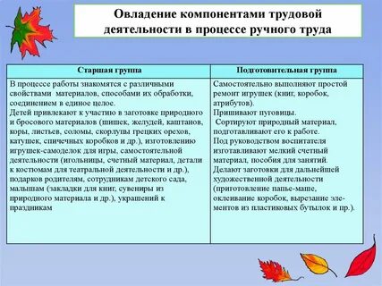 Трудовое поручение старшая группа цель
