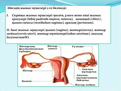 Прянишниковтан порно видео
