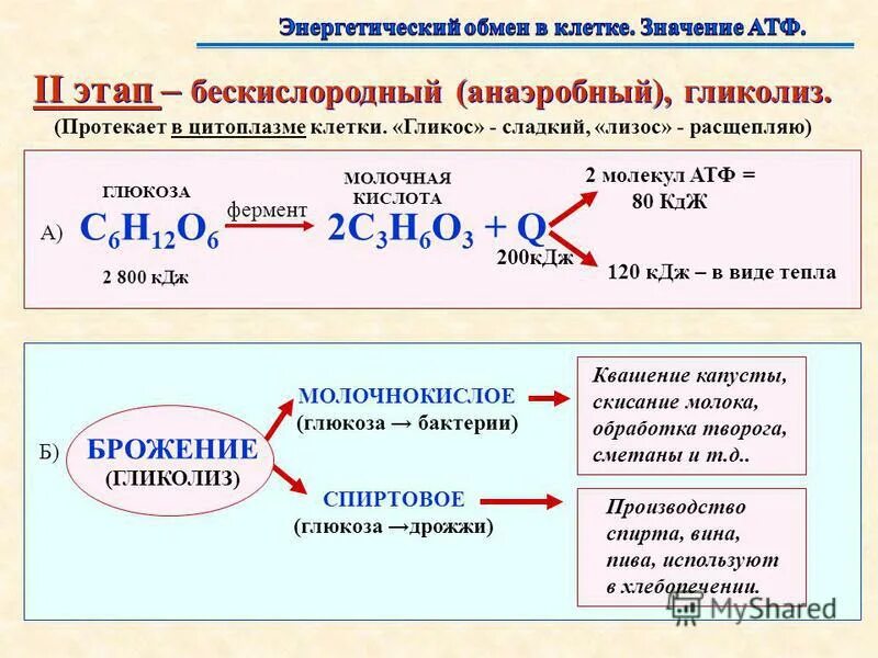 Кислородный бескислородный этап энергетического обмена. Этапы энергетического обмена гликолиз. Кислородный этап энергетического обмена схема. Уравнение гликолиза энергетического обмена. Бескислородный этап энергетического обмена.