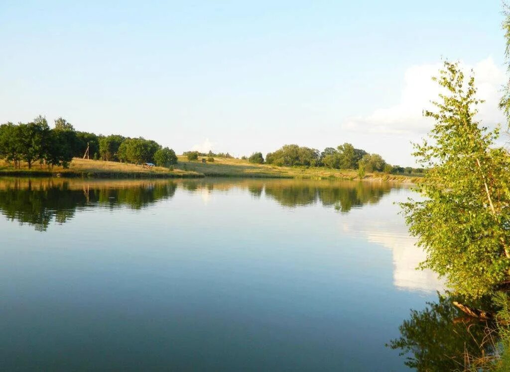 Рыбалка в орловской области в контакте. Карповское водохранилище Дмитровский район. Карповский пруд в Орловской. Река Карповка Волгоградская область. Озеро Лавровское Орловская.