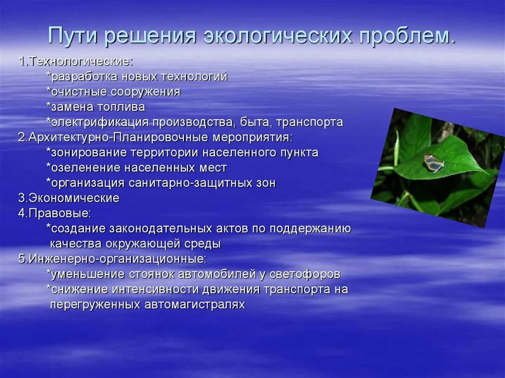 Виды деятельности по заботе об окружающей среде. Экологические пути решения. Решение экологических проблем. Пути решения экологических проблем. Пути решения проблем экологии.