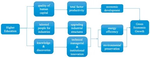 Role of higher education