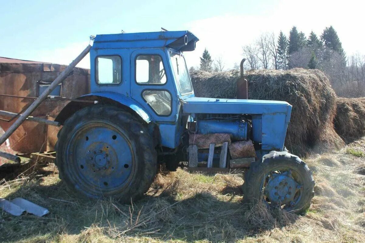 Лтз 60 на авито чувашия. Лтз т-40ам. лтз 40 ам. трактор т-40 ам. лтз т40 1991.