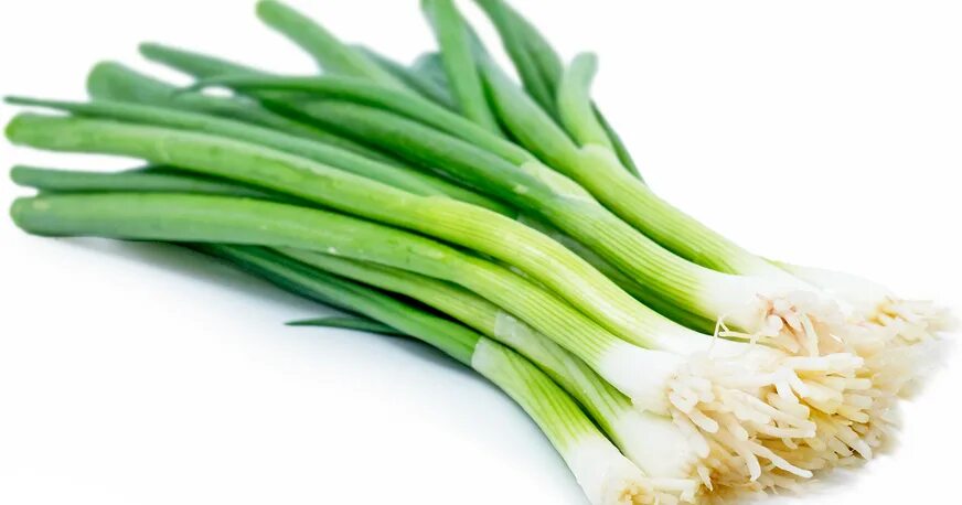 Scallion