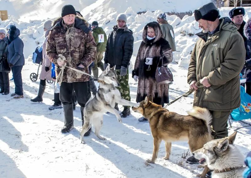 Большой амикан 2024. Белый Яр Верхнекетский район Амикан. Большой Амикан белый Яр 2023. Большой Амикан белый Яр Томская область Верхнекетский район. Праздник охотника большой Амикан.