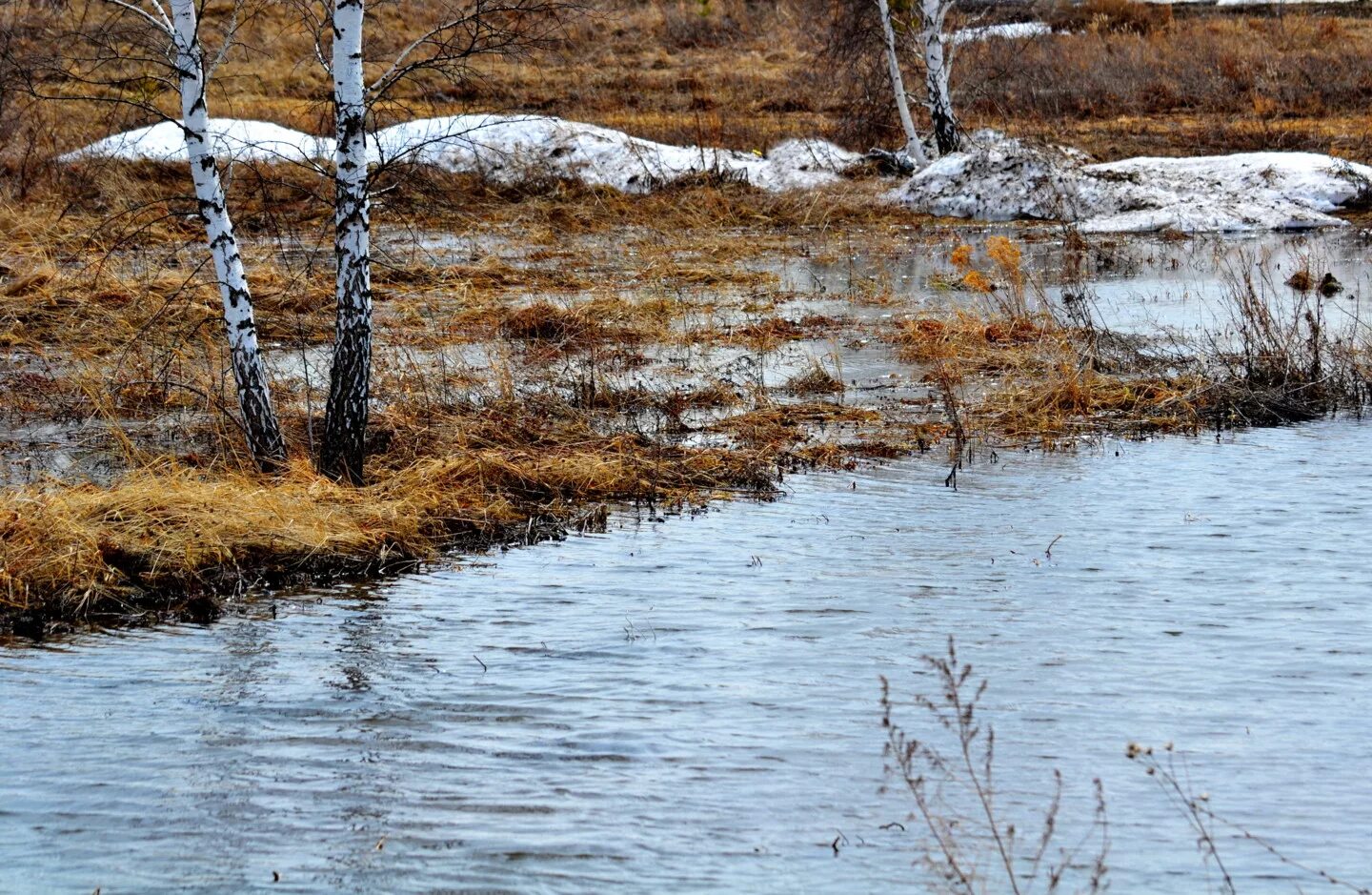 разлив реки весной. разлив реки весной. весенний разлив фото.