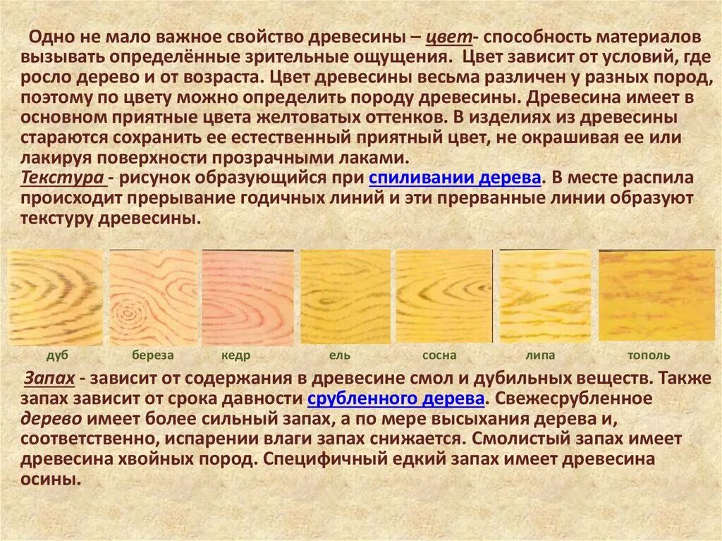 Какая порода деревьев лучше. Свойства разных пород древесины таблица. Древесина хвойных пород таблица. Образцы древесины. Цвета пород дерева.