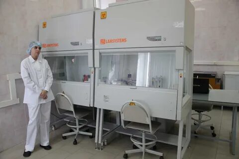 Сколько заболели коронавирусом в ростове