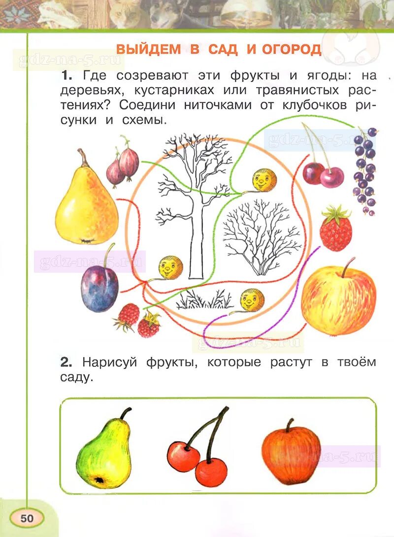 Окружающий 1 класс 1 часть рабочая тетрадь. Окружающий мир 1 класс рабочая тетрадь Плешаков 1 класс. Окружающий мир рабочая тетрадь стр 30 задание 2 ответы 1 класс. Рабочая тетрадь по окружающему миру 1 класс Плешаков ответы. Окружающий мир 1 класс Плешаков рабочая тетрадь 1, 2 часть стр 51 ответы.