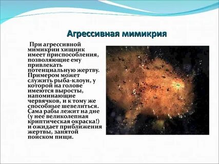 Чит на мимикрию