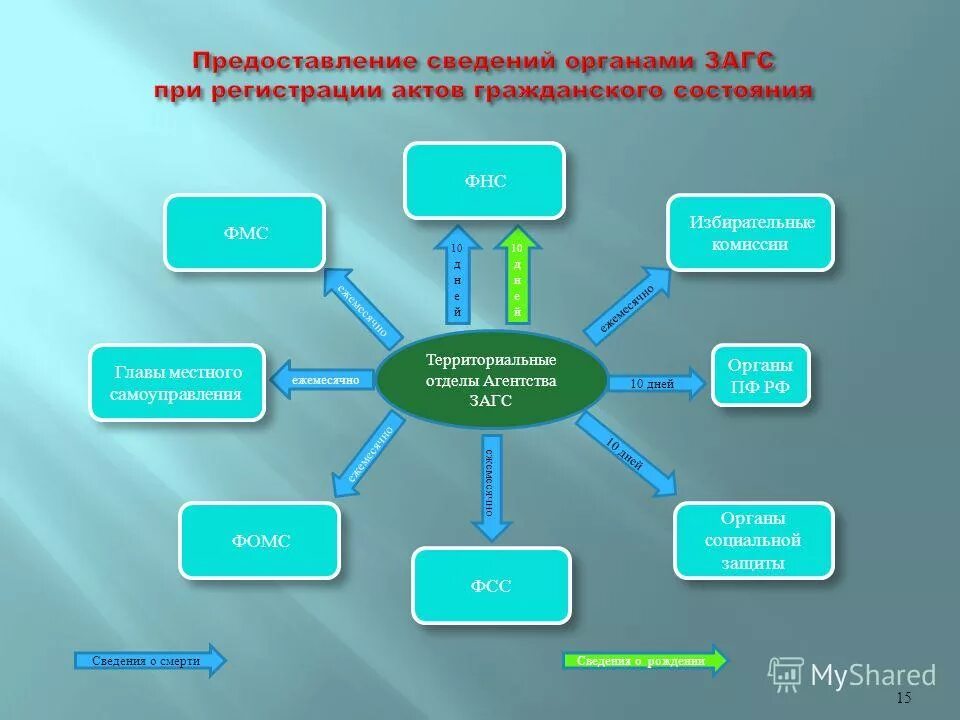 Как расшифровать загс. Структура ЗАГСА. Функции ЗАГСА. Органы записи актов гражданского состояния. Предоставление сведений органами ЗАГС.