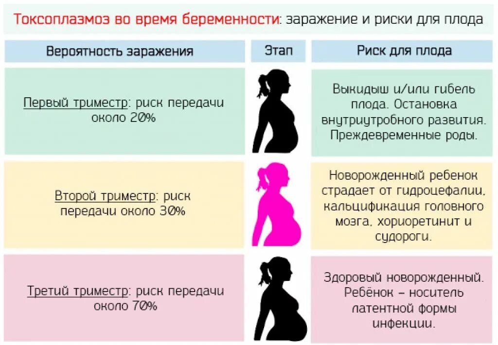 Токсоплазмоз при беременности симптомы. Токсоплазмоз и беременность. Токсоплазмоз при беременности проявления. Токсоплазмоз при беременности последствия для плода. Можно тужиться в туалете при беременности