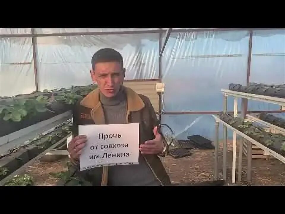 Колхоз ленина номера телефонов. Грудинин совхоз имени ленина. Колхоз ленина номера телефонов. Рыболовецкий колхоз им ленина. Колхоз имени ленина.