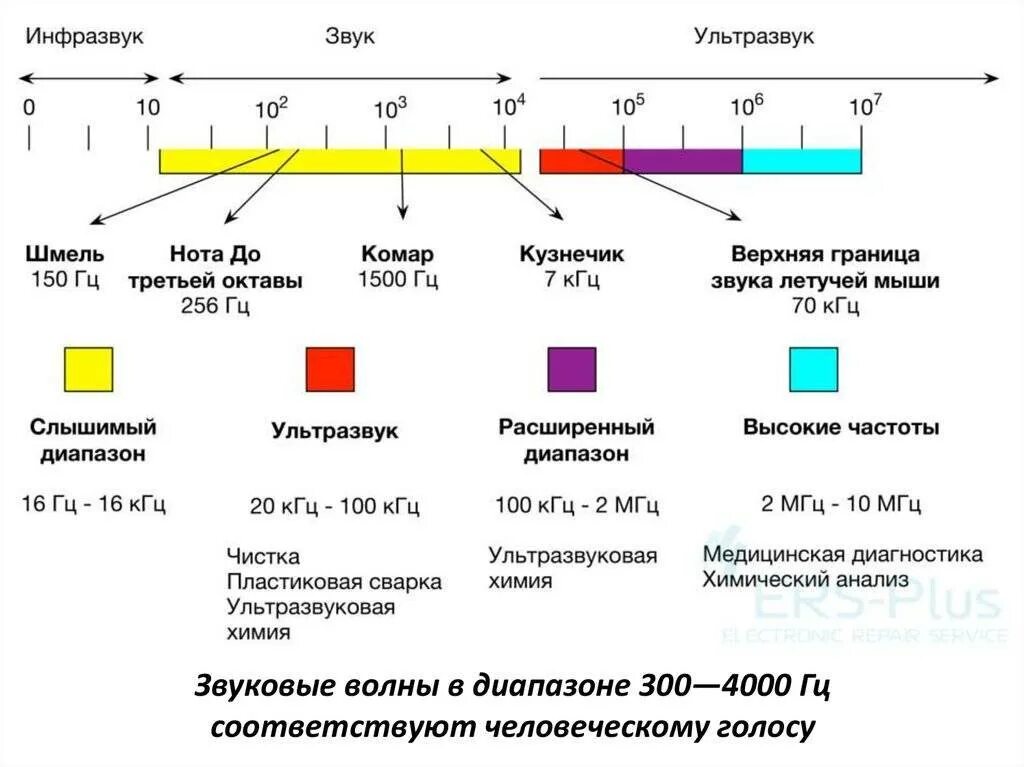Ультразвук какой диапазон. Диапазон звуковых частот. диапазон частот звука. частотный спектр ультразвука. диапазон звуковых частот в герцах.