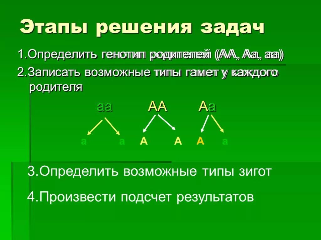 Как определить генотип в задаче. АА АА генотип. Типы гамет генотипа АА. Типы гамет у родителей. Генотипы родителей.