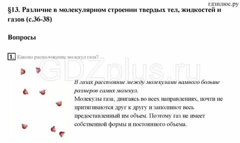 Различие в молекулярном строении