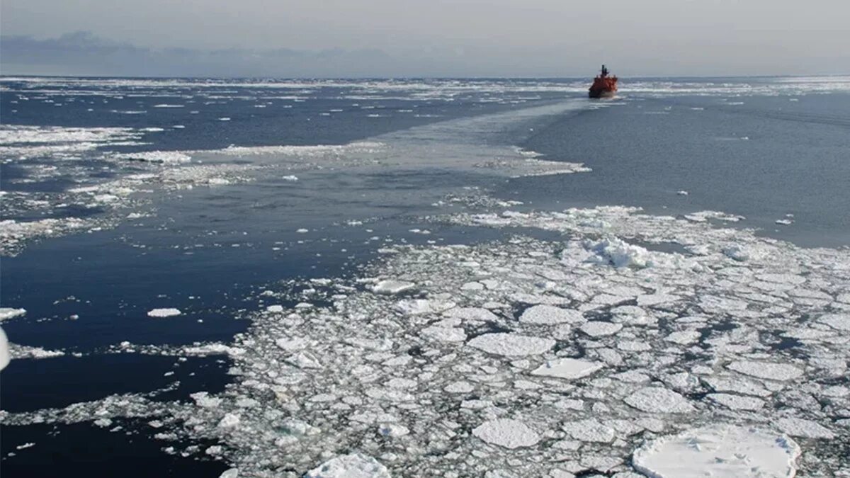 Высота карского моря над уровнем моря. Карское море и северно Ледовитый океан. Карское море Россия. Остров Северный Карское море. Баренцево море Ямал.