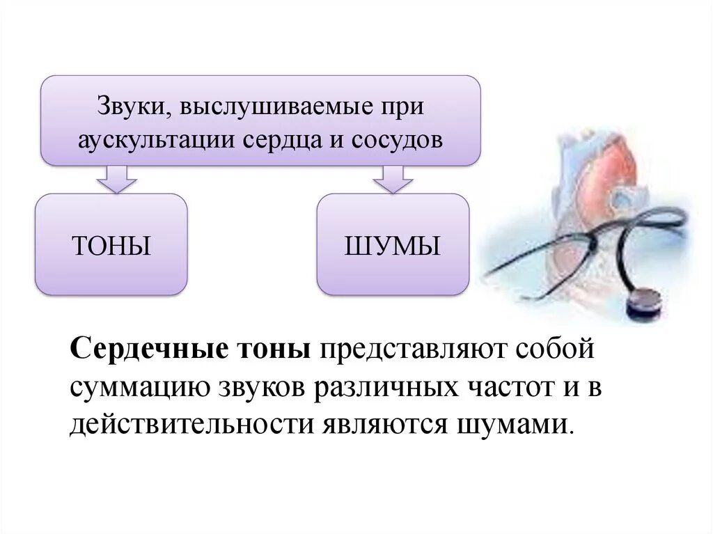 Аускультация сердца норма шумы. Сердечные тоны и шумы. Звуки при аускультации сердца. Тоны сердца при аускультации. Сердечные тоны шумы