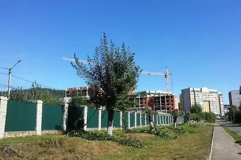 Гаражи в сосновом бору в чите