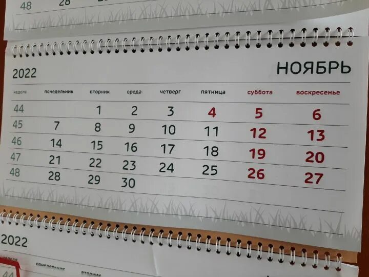 27 апреля укороченный день или нет. Выходные и праздничные дни в ноябре 2022. Татарстанцев ждет короткая рабочая неделя. 6 Ноября 2022 день недели. Рабочая неделя в ноябре 2022.