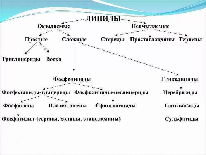 Связи липидов. Классификация липидов простые и сложные липиды. Липиды строение сложных липидов. Классификация омыляемых липидов. Сложные омыляемые липиды классификация.