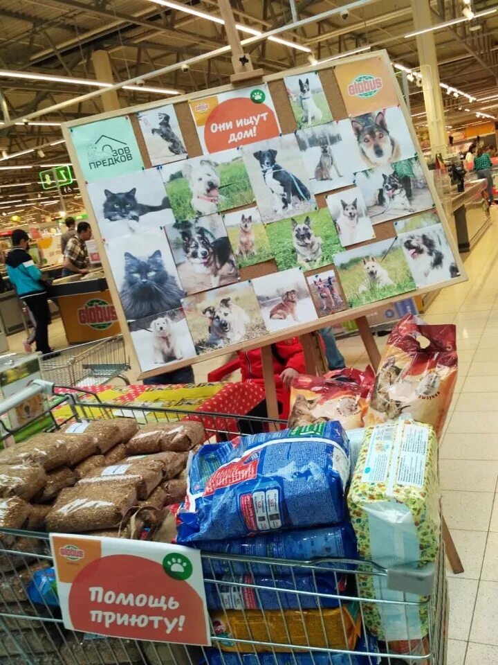 глобус на каширское шоссе. магазин глобус юдино. глобус юдино отдел свечи. глобус юдино часы работы сегодня. глобус юдино часы работы сегодня.