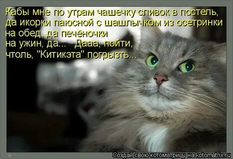 Кабы знала я