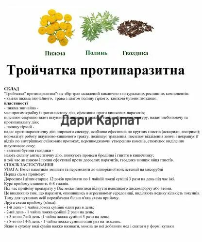 Пижма полынь гвоздика. Пижма полынь гвоздика антипаразитарка. Тройчатка полынь пижма и гвоздика пропорции. Гвоздика пижма и полынь от паразитов. Гвоздика пижма тройчатка.