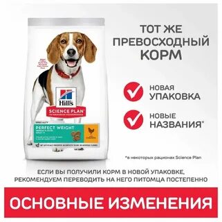 Какой корм для кастрированной собаки