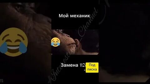 Иллюзия власти вести