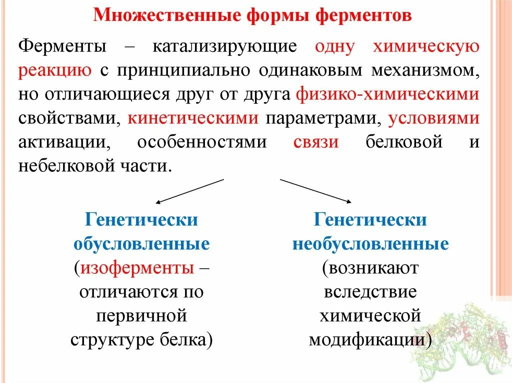 Типы реакций катализируемых ферментами. Множественные формы ферментов биохимия. Изоферменты множественные формы ферментов. Множественные молекулярные формы ферментов. Множественные молекулярные формы ферментов изоферменты.