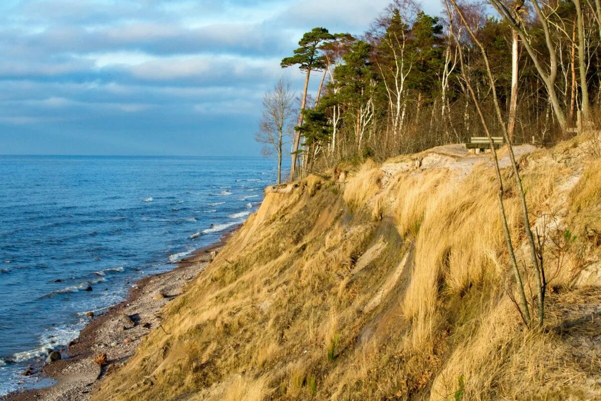 Взморье предложение