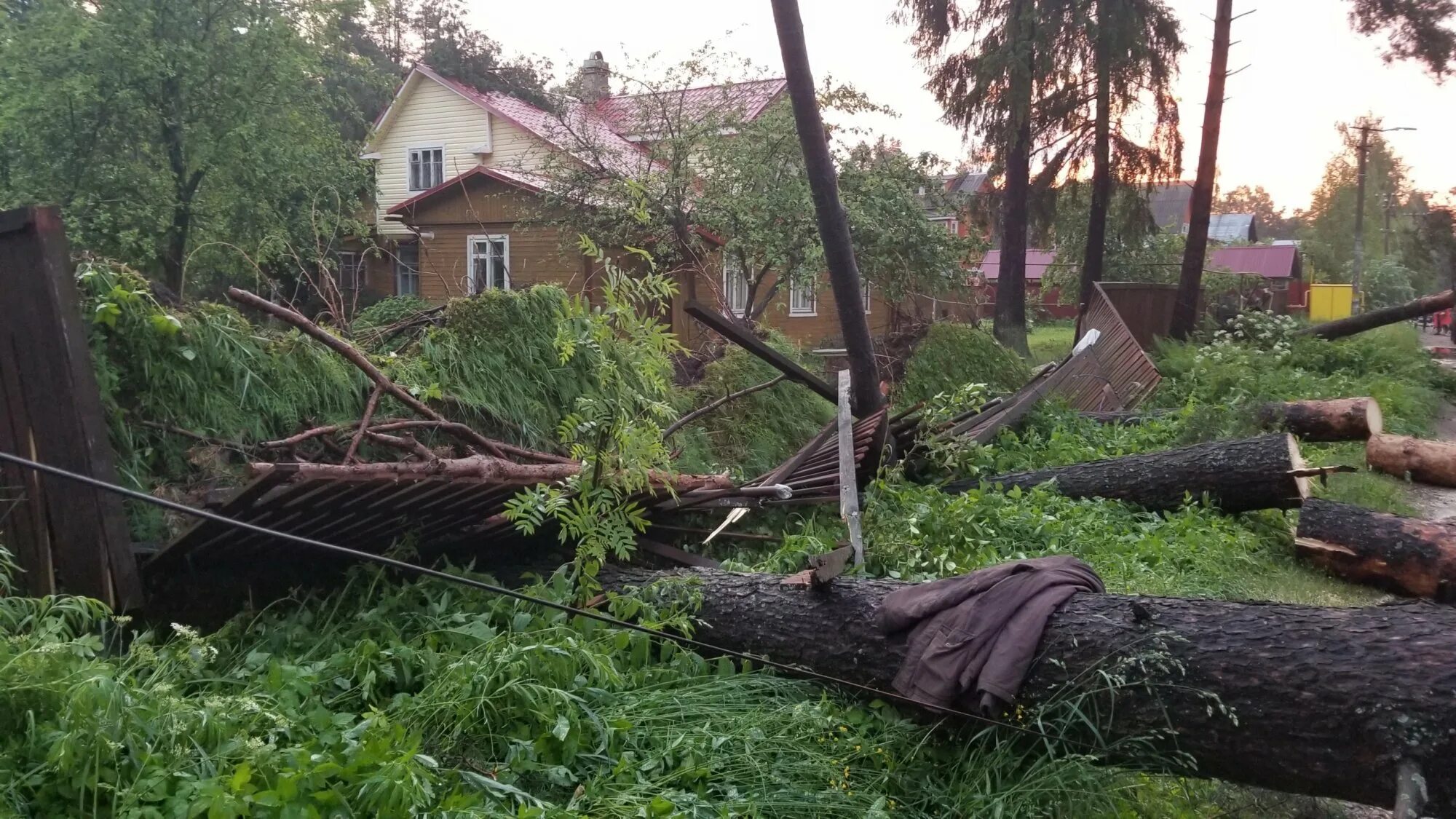 Мельничный ручей Всеволожск ураган. Поваленное дерево. Шторм в Ленинградской области. Ураган повалил деревья.