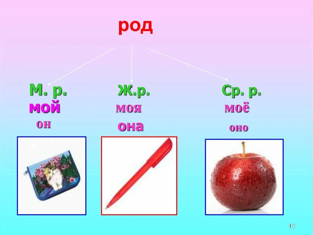 Мой моя моё род. Средний род. Он она оно. Род имен существительных.