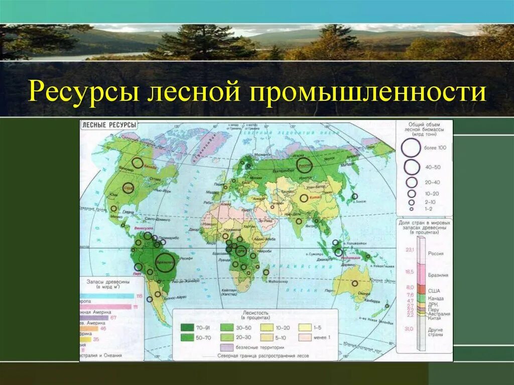 Какими лесными ресурсами богата россия. Ресурсы Лесной промышленности. Лесная и деревообрабатывающая промышленность.